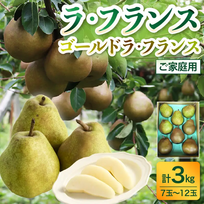 ラ・フランスとゴールドラ・フランス詰合せ　３ｋｇ　ご家庭用　0017-2624