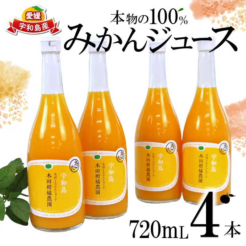 みかんジュース 本物の100％みかんジュース 720ml × 4本 木田柑橘農園 H015-185004