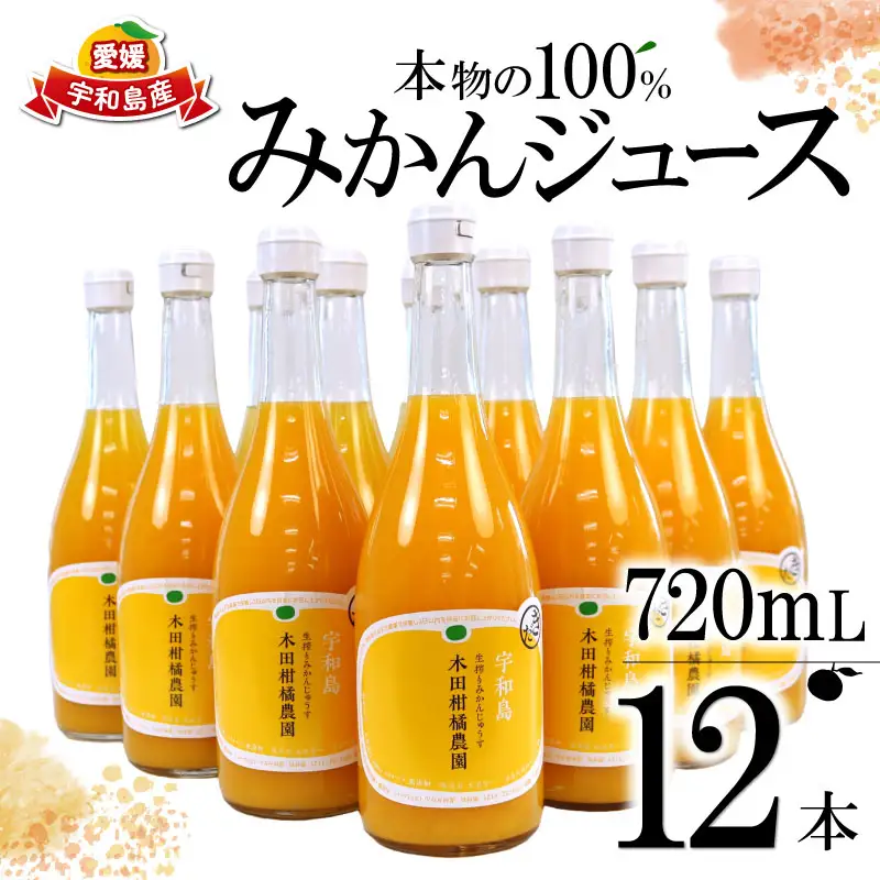 みかんジュース 本物の100％みかんジュース 720ml × 12本 木田柑橘農園 H042-185006