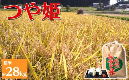 【環境保全米】米 お米 アグリとみたの 令和8年産 つや姫 精米 約28kg / 米 お米 こめ 白米 ご飯 ライス つやひめ つや姫 産地直送 数量限定 人気のお米【agtomita001】