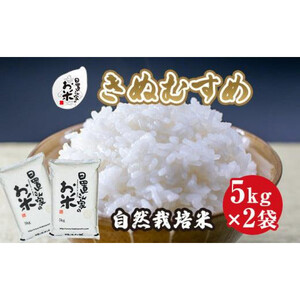 165.日置さん家の自然栽培 米 「 きぬむすめ 」精米　5kg×2袋 2025年産 | 米