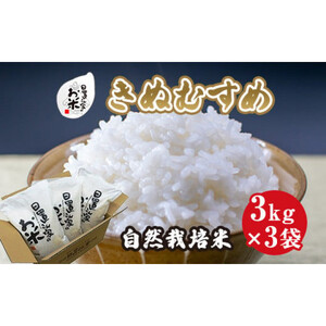 170.日置さん家の自然栽培 米 「 きぬむすめ 」無洗米　3kg×3袋 2025年産  |  無洗米