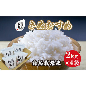 171.日置さん家の自然栽培 米 「 きぬむすめ 」精米　2kg×4袋 2025年産 | 米