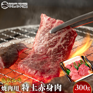 56.鳥取 和牛 焼肉 用特上赤身肉 300g | 和牛