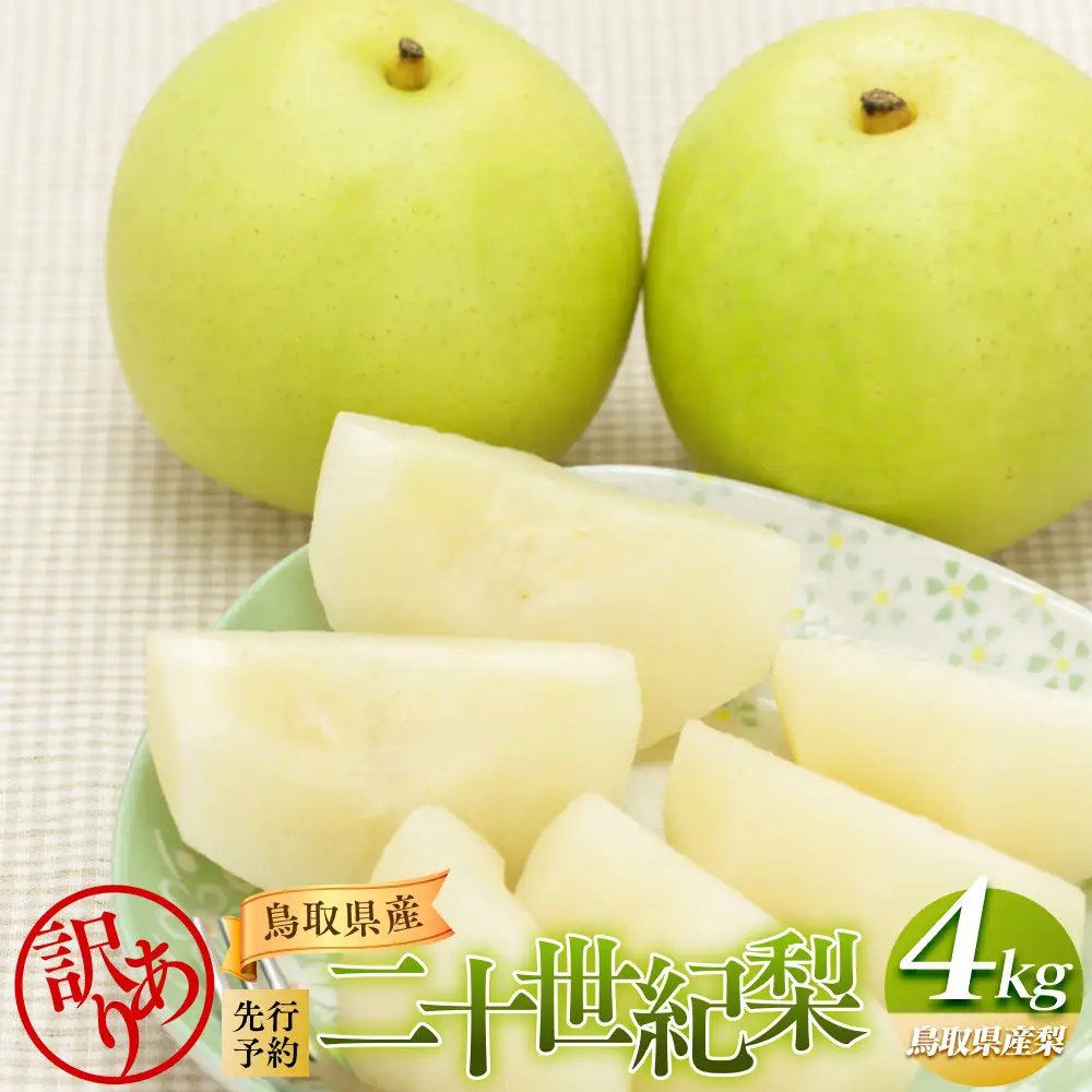 【先行予約】【訳あり】二十世紀梨 4kg ※2027年8月下旬頃～9月下旬頃に順次発送  梨