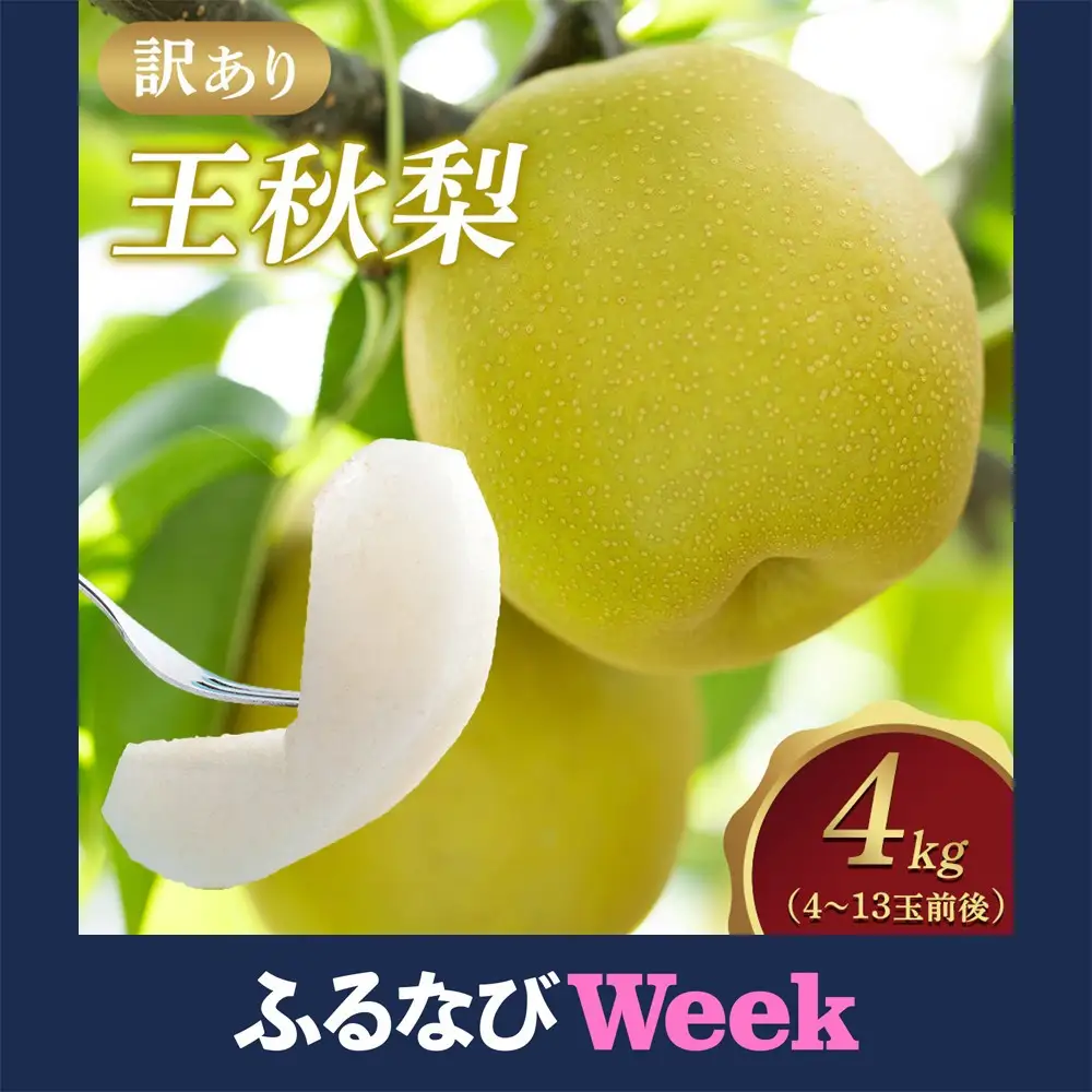 【ふるなびWEEK対象】梨 王秋梨 4kg 4～13玉 前後 先行予約 訳あり ※2026年10月下旬～12月上旬頃に順次発送予定