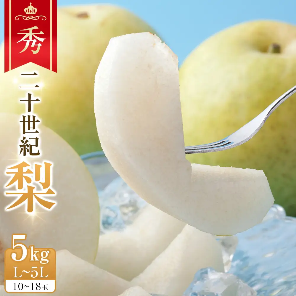 【先行予約】二十世紀梨 秀5kg L～5L 10～18玉前後 ※2027年8月下旬～9月下旬頃に順次発送予定 梨