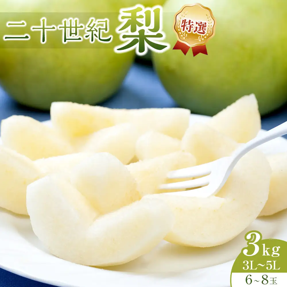 【先行予約】二十世紀梨 特選 3kg 3Ｌ～5Ｌ 6～8玉前後 ※2027年8月下旬～9月下旬頃に順次発送予定 梨