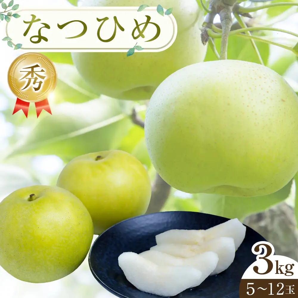 【先行予約】なつひめ 3kg 5～12玉 ※2026年8月中旬～9月上旬頃に順次発送予定 梨