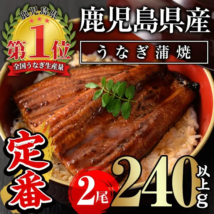うなぎ 無投薬 鹿児島県産 ＜定番＞(計240g以上・ 約120g×2尾) うなぎ【西日本養鰻】A730