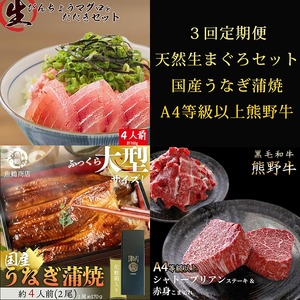〈毎月定期便〉紀州和歌山うまいもんセットC(生まぐろ・うなぎ蒲焼・熊野牛)全3回 ※離島への配送不可