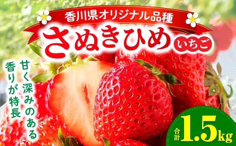 【先行予約】三木町地域いちご部会「さぬきひめ」1.5kg |いちご 苺 イチゴ さぬき姫 さぬきひめ 希少 甘い スイーツ ストロベリー 冷蔵 1kg以上 旬 果物 フルーツ 青果物 香川県  香川県オリジナルデザート おすすめ|_mk006-012