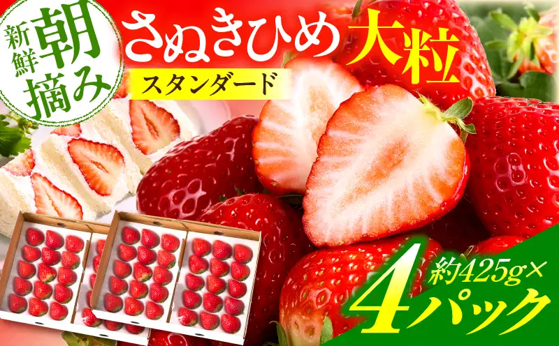 【先行予約】『苺音ファームの』おうちでいちご狩り気分セット　～さぬきひめいちごをいっぱい食べられる大容量セット～　約1.7kg|イチゴ フルーツ 旬のいちご 旬 果物 デザート 旬の果物 果実 ご褒美 季節 甘い 国産 ギフト お取り寄せ 贈答 贈り物 プレゼント 香川県 三木町 |_mk137-005