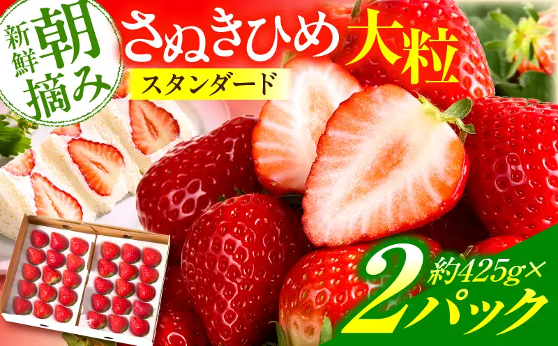 【先行予約】苺音スタンダード～春の大粒のさぬきひめいちご～　約850ｇ | スイーツ いちご イチゴ ストロベリー さぬきひめ さぬき姫 苺 冷蔵 フルーツ 旬 果物 香川県 デザート 青果物 おすすめ |_mk137-003