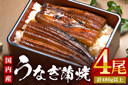 やわらか国内産 うなぎ蒲焼 満足サイズ! 120～140g 4尾 計480g以上 ふっくら蒲焼き ブランド鰻使用 秘伝のタレ・山椒付き 湯煎で簡単調理 うな丼 ちらし寿司 贈答用 ギフト 冷蔵配送 国産 茨城県 潮来市 (A23-014)