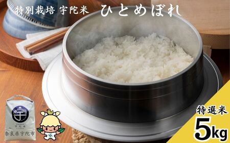 特別栽培 宇陀米ひとめぼれ 5kg【特選米】令和6年産／白米 米 お米 ひとめぼれ おいしい 奈良県 宇陀市 宇陀米ブランド化協議会 類農園 ふるさと納税