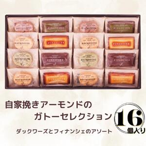 自家挽きアーモンドのガトーセレクション（16個）