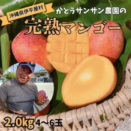 【2026年7月頃発送】離島の恵み　完熟マンゴー2.0kg【配送不可地域：離島】【1573531】