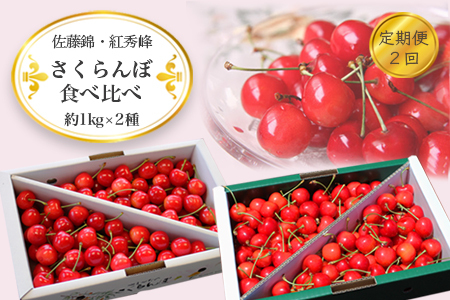 【2026年発送】【定期便2回】さくらんぼ約1kg×2種_H177(R8)