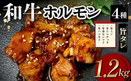 和牛ホルモン4種旨タレ（牛ミノ、牛シマチョウ、牛赤センマイ、牛ハツモト）1,200g 焼肉 ホルモン 内臓 牛 和牛 ほるもん みの しまちょう せんまい はつ たれ お歳暮 お中元 F6T-563