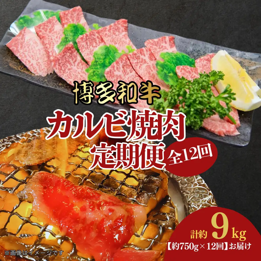 博多和牛 カルビ焼肉(バラ)定期便全12回(約750g×12回)