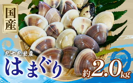 冷凍ハマグリ 約2kg はまぐり 蛤