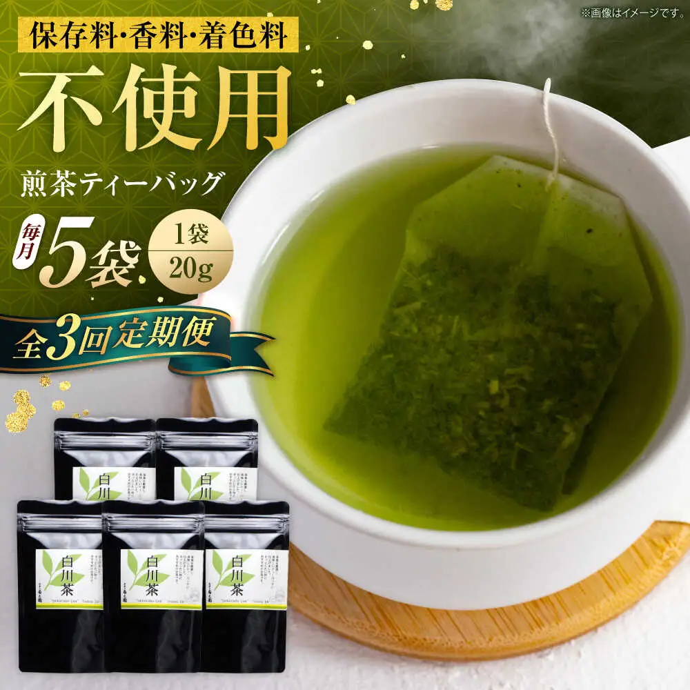 【3回定期便】煎茶 ティーバッグ 5袋 / 菊之園[AWAG005]煎茶