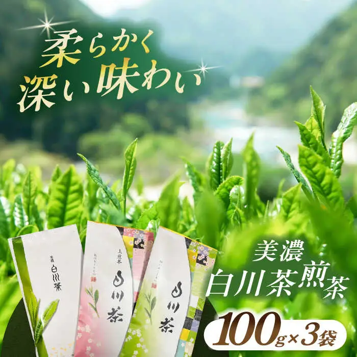 美濃白川茶 煎茶セット 100g×3袋 お茶 おちゃ お茶葉 茶葉 緑茶 煎茶 白川茶 飲み比べ 白川町 / 白川町農業開発[AWAH009]