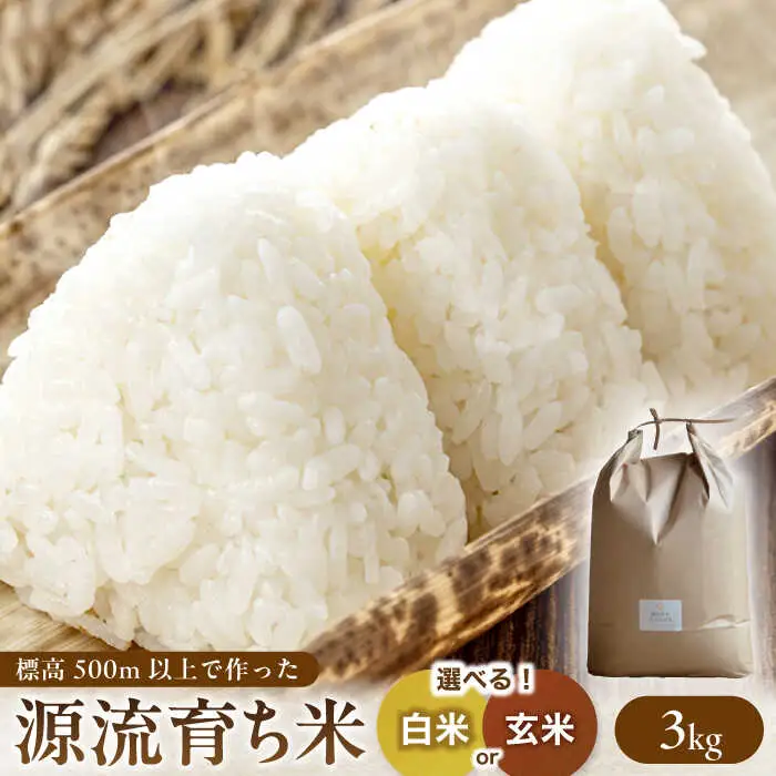 源流育ち お山のお米 3kg 白米 玄米 選べる 国産 岐阜 白川町 / Sunpo[AWBC006]