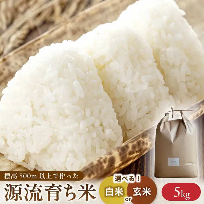 源流育ち米 5kg 白米 玄米 選べる 白川町 / Sunpo[AWBC007]