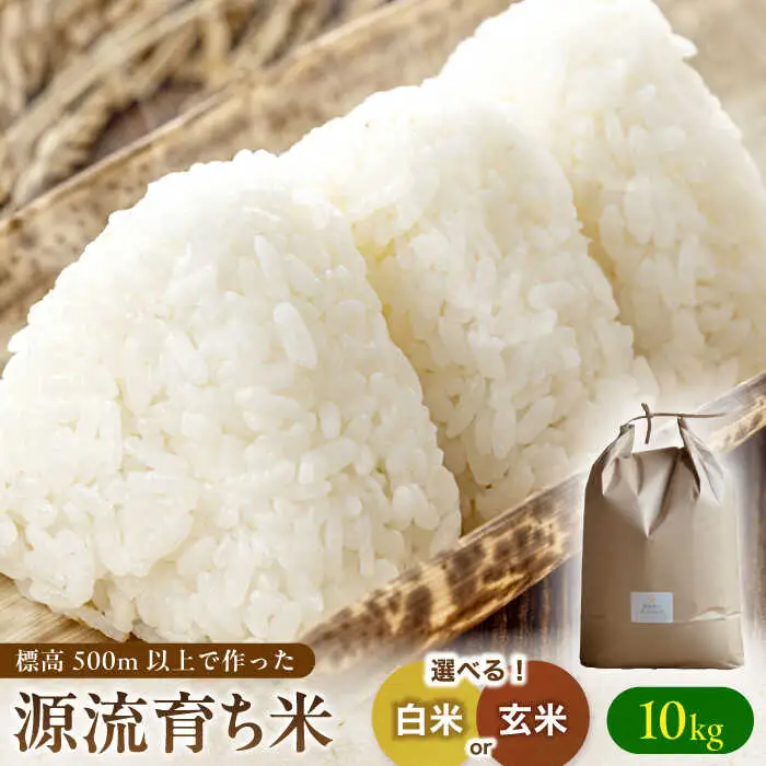 源流育ち米 10kg 白米 玄米 選べる 白川町 / Sunpo[AWBC008]