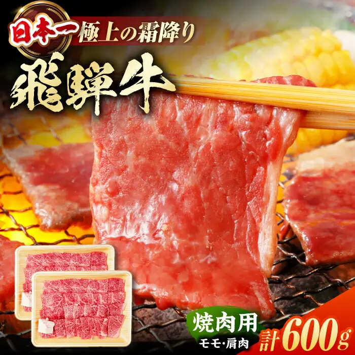飛騨牛 焼肉用赤身 600g / 浅井商店[AWBJ001]飛騨牛