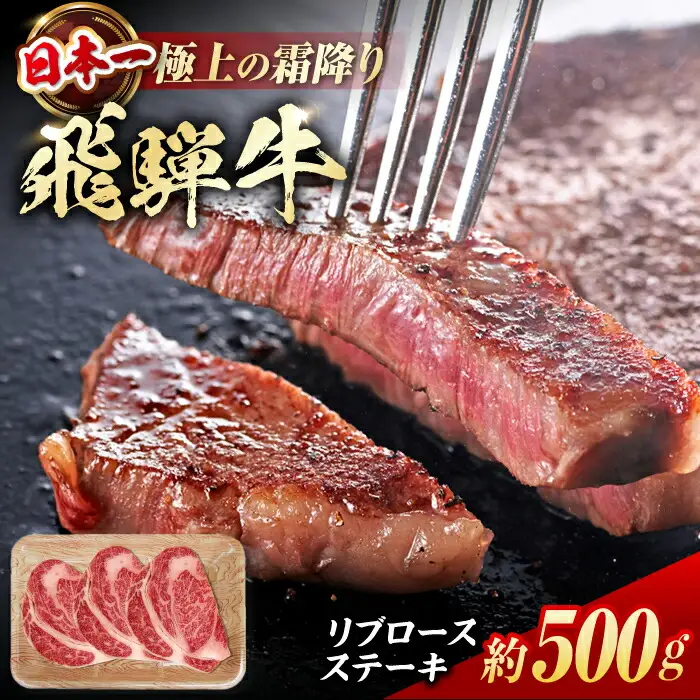飛騨牛 ステーキ用計500g / 浅井商店[AWBJ007] 飛騨牛