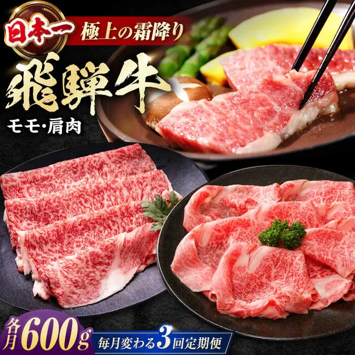 【3回定期便】 飛騨牛 モモ・肩肉 毎月600g / / 浅井商店[AWBJ008]