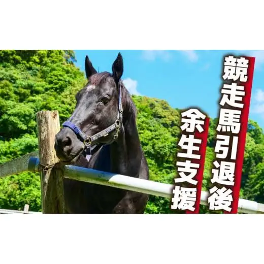 【 支援 】 支援引退馬2千円