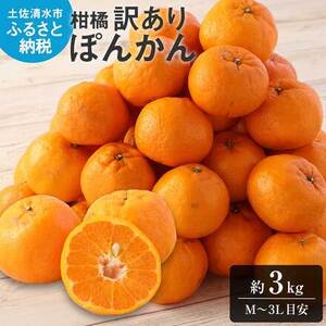 【令和９年1月下旬】【訳あり】ぽんかん３kg（谷川果樹園）デコポンの親 みかん 蜜柑 ミカン 不知火 しらぬい 柑橘 かんきつ ポンカン フルーツ オレンジ 果物 くだもの 果汁 甘い【R01603】