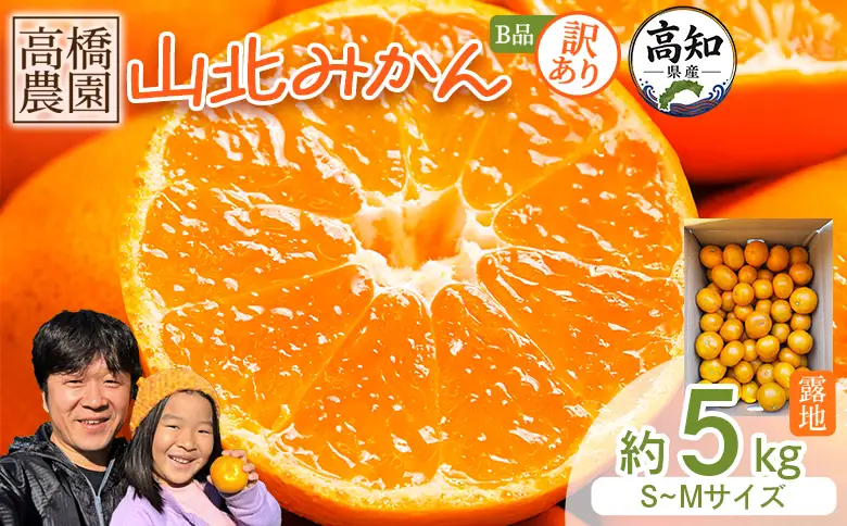 訳あり 山北みかん 5kg みかん th-0031