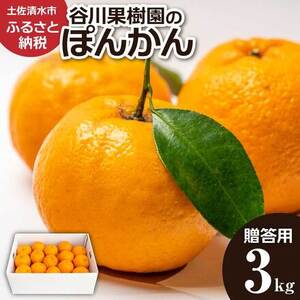 【令和9年1月発送】ぽんかん ３kg（谷川果樹園）デコポンの親  みかん 蜜柑 ミカン 不知火 しらぬい 柑橘 かんきつ ポンカン フルーツ オレンジ 果物 くだもの 果汁 甘い【R01376】