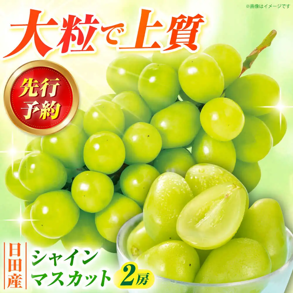 シャインマスカット 2房(計1.2〜1.4kg)[AREW005]