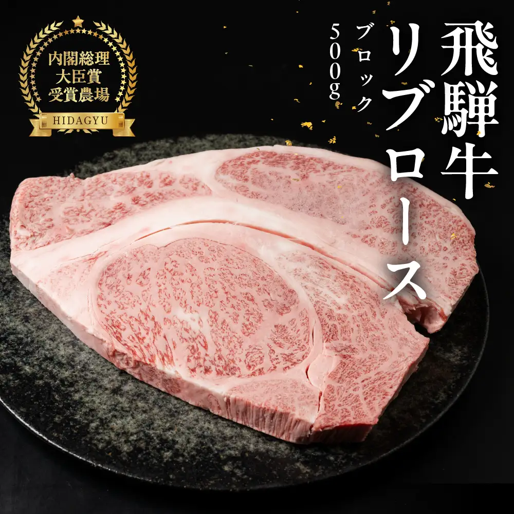 飛騨牛 リブロースブロック 500g 【22-43】