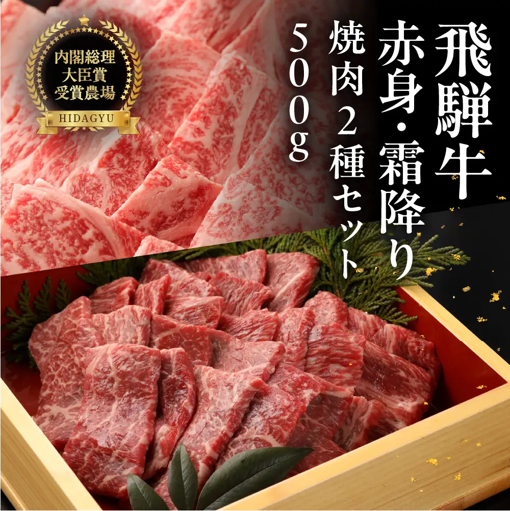 飛騨牛ロース・赤身焼肉セット（ロース200g・赤身300g）計 500g【22-44】