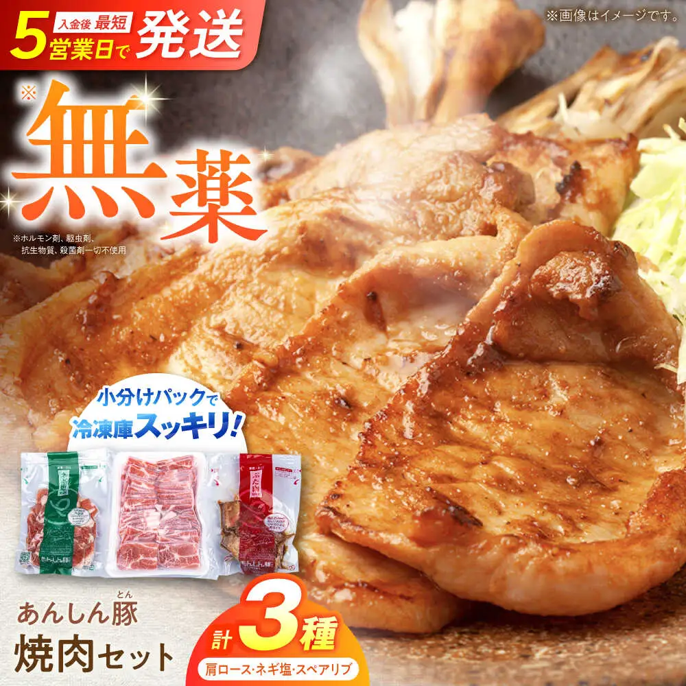 豚肉 焼肉セット 計1kg / 藤井ファーム  [AWAF005]豚肉 焼肉