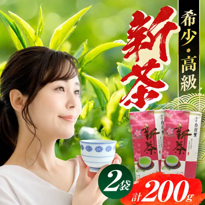 美濃白川茶 新茶セット 200g【先行予約】白川町農業開発[AWAH005]新茶