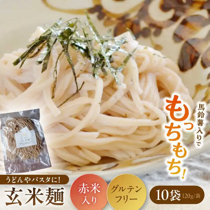 お山の玄米麺 計1.2kg（120g×10パック） Sunpo[AWBC003]麺
