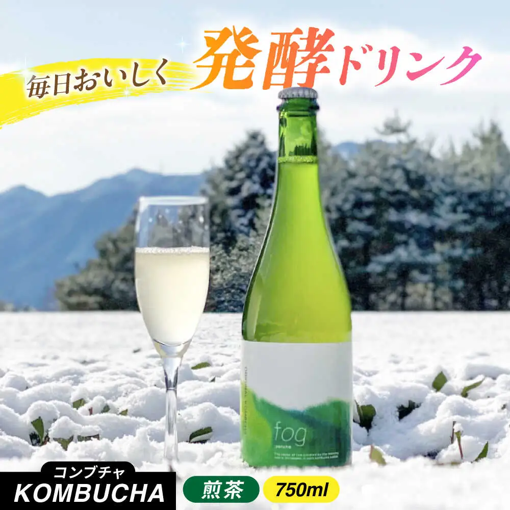 煎茶コンブチャ fog-sencha 750ml / 新田製茶[AWBK006]煎茶