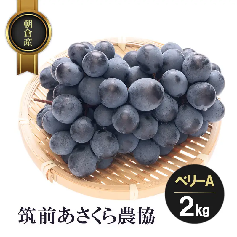 朝倉産 ベリーA 2kg フルーツ 果物 くだもの 筑前あさくら農協 発送予定：2027年7月下旬～8月上旬 ※配送不可：北海道、沖縄、離島