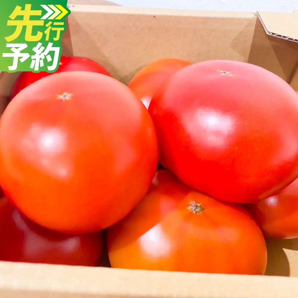 ＜ R8年熊本地震復興支援 ＞『まるで太陽の恵みをそのまま閉じ込めたような真っ赤な 大玉トマト』 約3.5kg （熊本県産） トマト とまと 野菜 大玉 【2027年1月下旬～5月下旬迄発送予定】