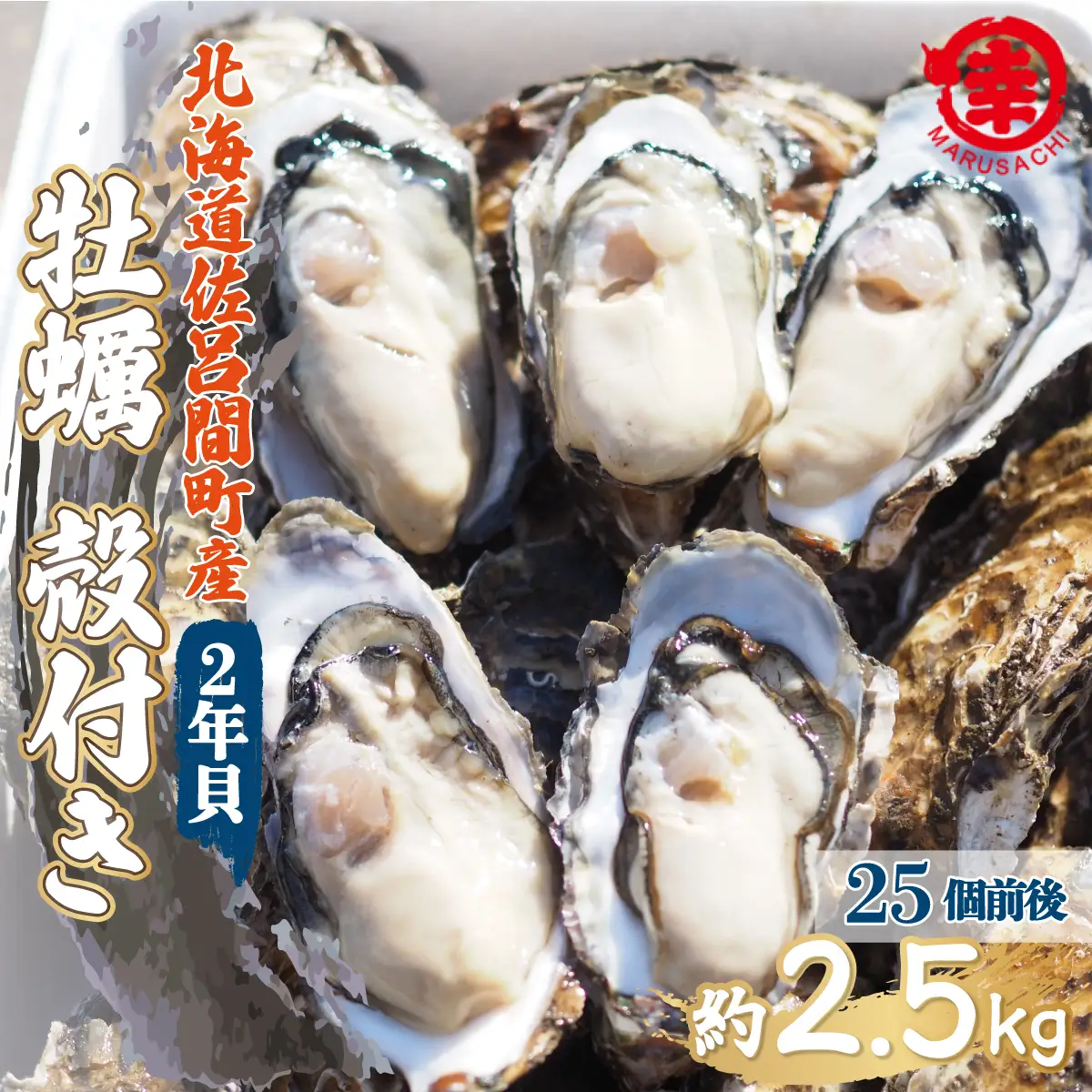 【先行受付】カキ 殻付き 2年貝 約2.5kg（25個前後） 佐呂間産（10月中旬以降順次発送開始予定） SRMA002