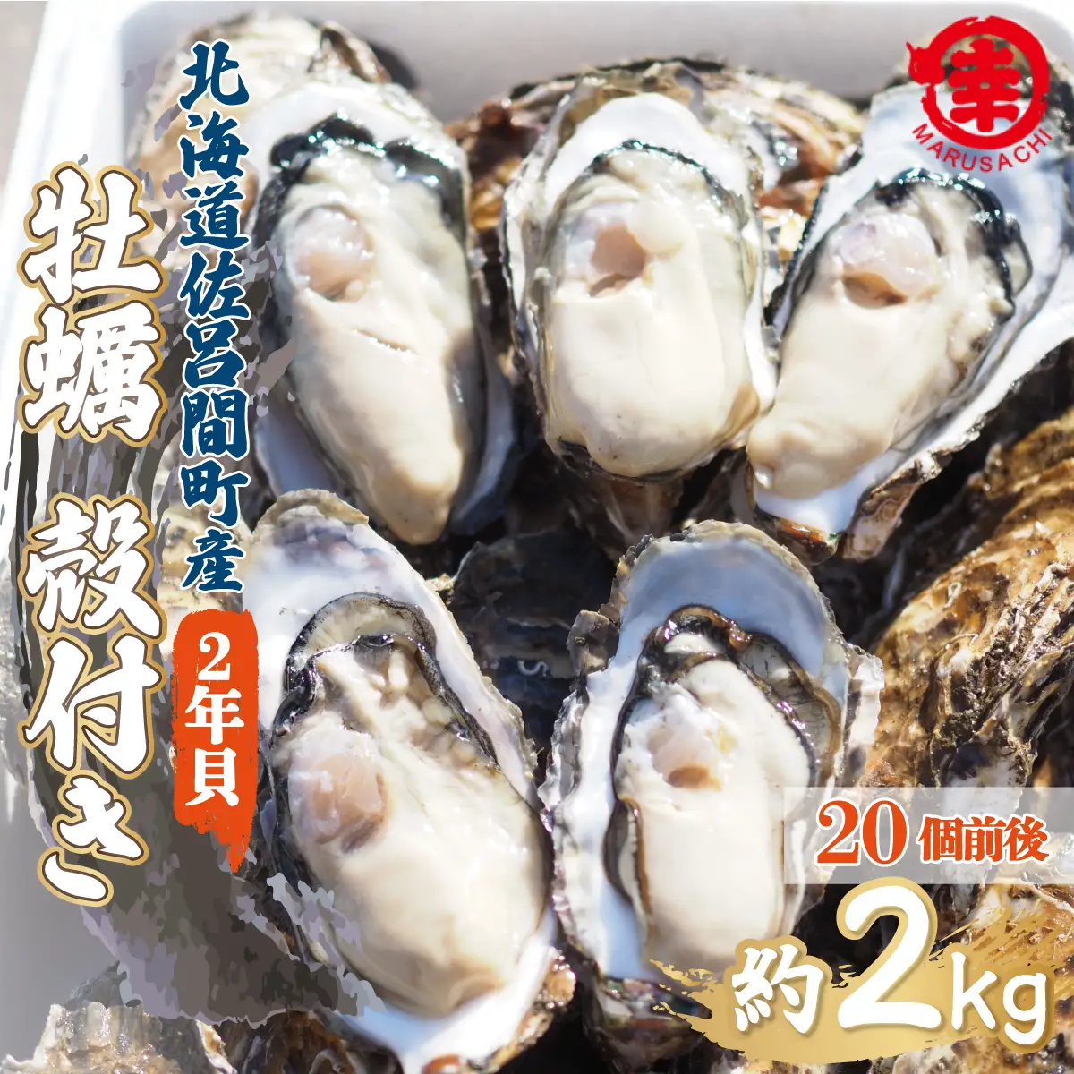 【先行受付】カキ 殻付き 2年貝 約2kg（20個前後） 佐呂間産（10月中旬以降順次発送開始予定） SRMA012