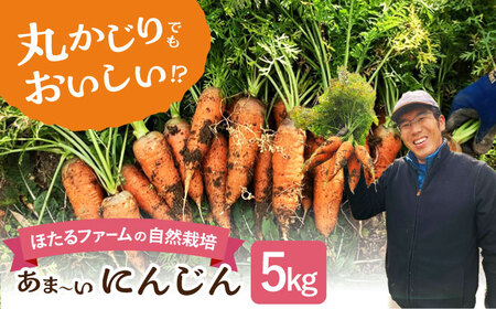 　【先行予約】　自然栽培のにんじん 5kg 多治見市 / ほたるファーム にんじん ニンジン 5キロ[TEB008]